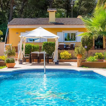 S'oratge Can Picafort (Mallorca)