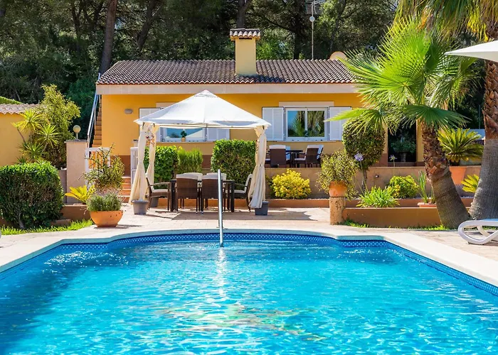 S'oratge Can Picafort (Mallorca)