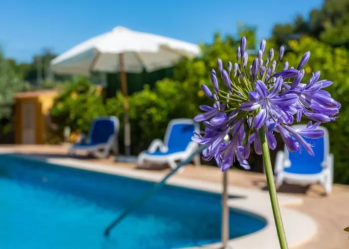 S'oratge Domek alpejski