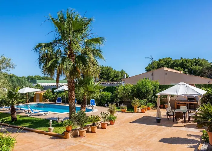 S'oratge Can Picafort (Mallorca)